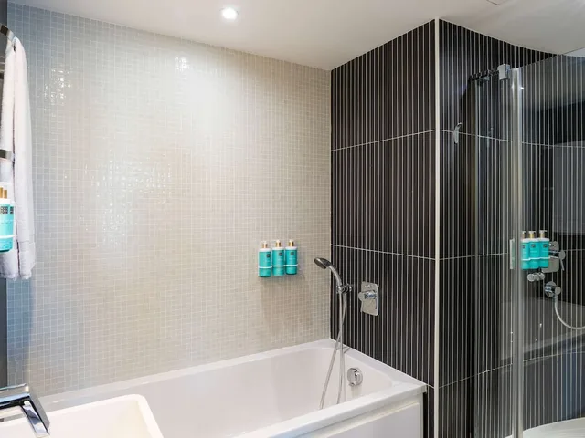 جناح سوبيريور بسرير مزدوج وسريرين منفصلين، Suite Novotel Malaga Centro Hotel 6/10