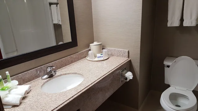 غرفة قياسية بسرير كينج مع أريكة، Holiday Inn Express Hotel And Suites Waterford 5/6