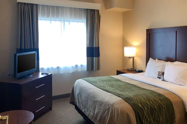 جناح بسرير كينج، Comfort Inn Early Brownwood 1/1