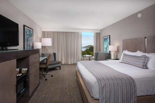 غرفة بسرير كينج بإطلالة على البحر يُسمح فيها بالحيوانات الأليفة، Best Western Plus Agate Beach Inn 1/2