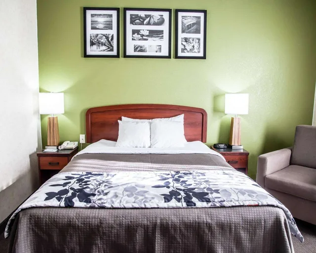 غرفة بسرير مزدوج، Sleep Inn & Suites Allendale, MI 1/1