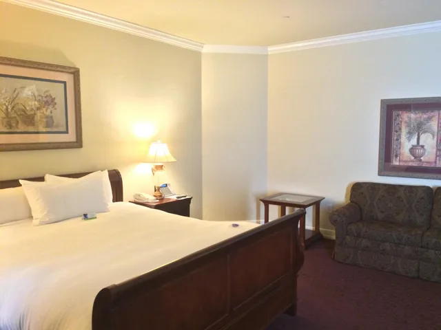 غرفة سوبيريور بسرير كينج، Carlton Hotel 1/9
