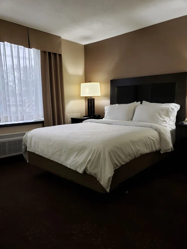 غرفة قياسية بسرير فردي، Holiday Inn Express Detroit-Birmingham 1/3