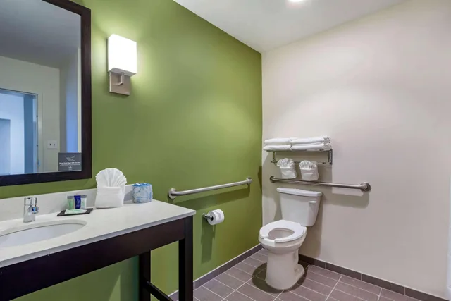 جناح بسرير كينج لذوي الإعاقة، Sleep Inn & Suites Tampa South 3/3