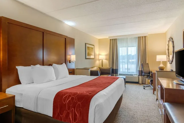 جناح استوديو بسرير كينج مع أريكة لذوي الإعاقة، Comfort Suites South Park 5/10