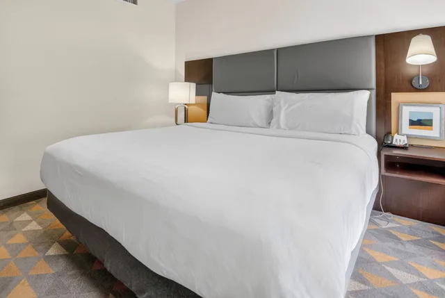 جناح بغرفة نوم واحدة لذوي الإعاقة، Holiday Inn Express Hotel And Suites Dallas Addison 3/4