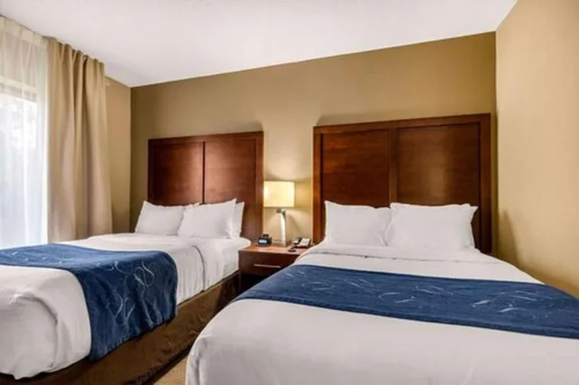 جناح بسريرين مزدوجين مع أريكة، Comfort Suites Manchester 1/4