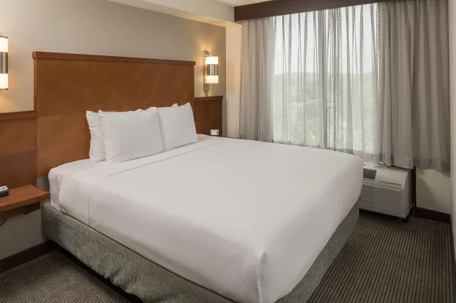 غرفة بسرير كينج لذوي الإعاقة، Hyatt Place Austin/Arboretum 1/9