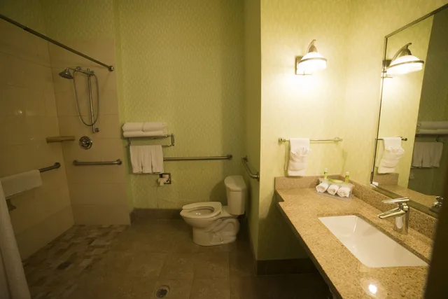 غرفة قياسية بسرير كينج لذوي الإعاقة، Holiday Inn Express Hotel Suites Atlanta East Lithonia 3/4