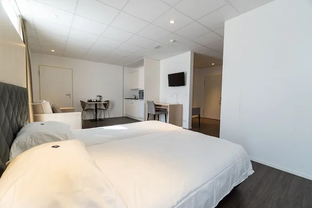 Superior, Studio, Twin Beds, Kitchen, Hine Adon Apart Bern-Airport 2/9