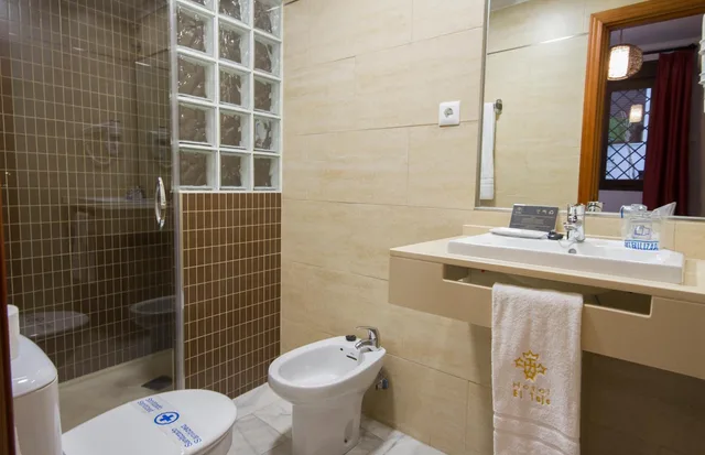 غرفة مفردة، Hotel El Tajo and Spa 9/12
