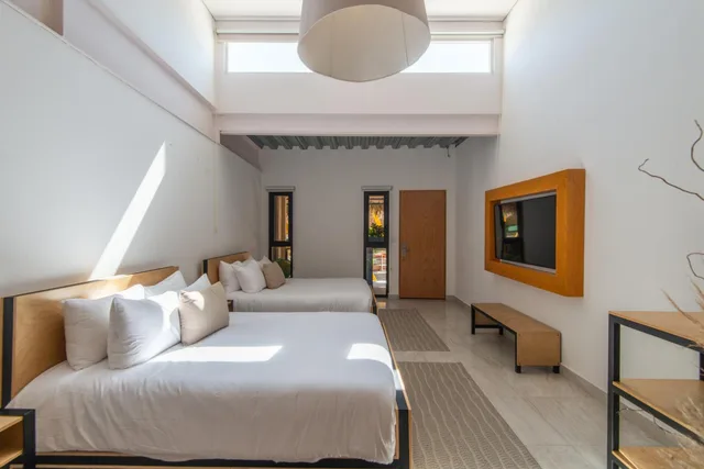 Private, Double Bed، Mayan Monkey Los Cabos 1/1