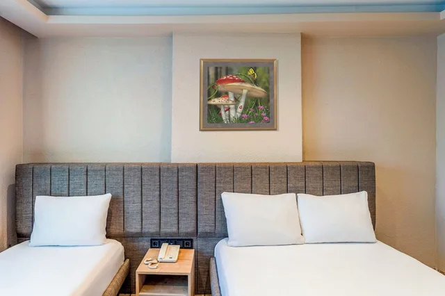 غرفة قياسية بسرير مزدوج، Evim Hotel 6/10