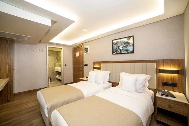 غرفة قياسية بسرير مزدوج أو سريرين منفصلين، Erboy Hotel Istanbul 3/10