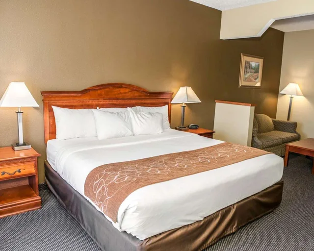 جناح بسرير كينج لذوي الإعاقة، Comfort Suites Auburn Near I-69 3/4