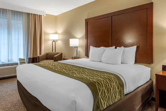 Room, King Bed, Comfort Inn & Suites Pittsburgh South 1/3
