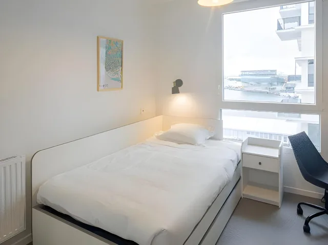 استوديو اقتصادي كبير بسرير فردي، All Suites Appart Hotel Le Havre 1/1