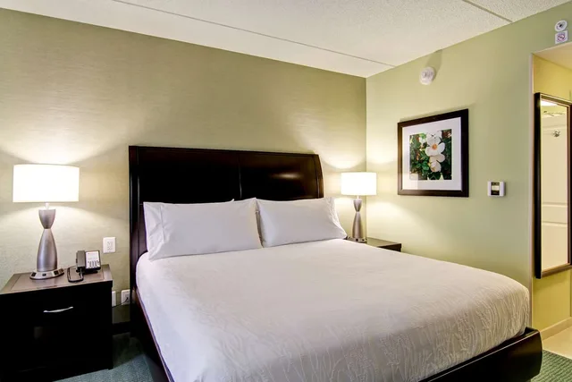 غرفة بسرير كينج بحوض استحمام لذوي الإعاقة، HILTON GARDEN INN WOODBRIDGE 2/4