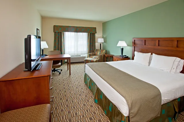 Standard, King Bed, Holiday Inn Express Hotel & Suites Ripley 1/6