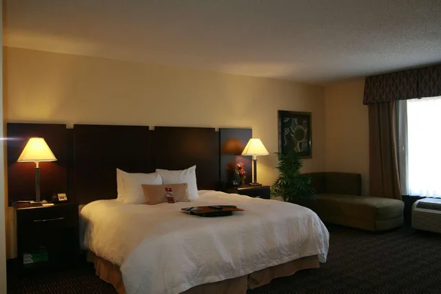 جناح بسرير كينج، Hampton Inn Suites Orlando John Young Pkwy 1/1