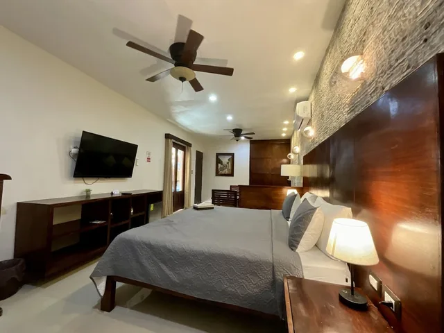 جناح جونيور بسرير كينج مع أريكة، El Zaguán Colonial 2/7