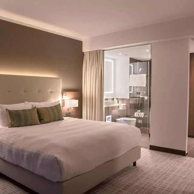 غرفة قياسية بسرير كينج بإطلالة على البحيرة، Courtyard Wolfsburg 3/10