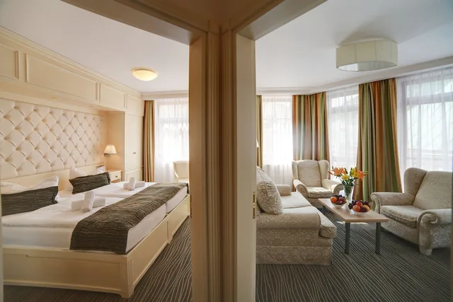 شقة جونيور بسريرين منفصلين بغرفة نوم واحدة، Wellness And Spa Hotel Ambiente 1/2