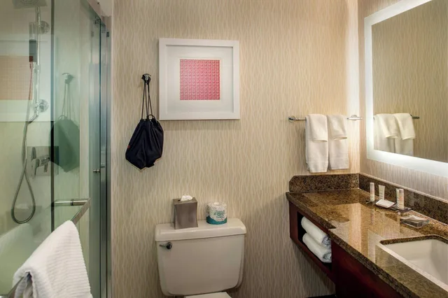 غرفة تنفيذية بسرير مزدوج، Marriott St. Louis Airport 9/10