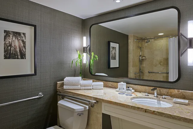 غرفة بسرير مزدوج، The Whitley A Luxury Collection Hotel Atlanta Buckhead 4/4