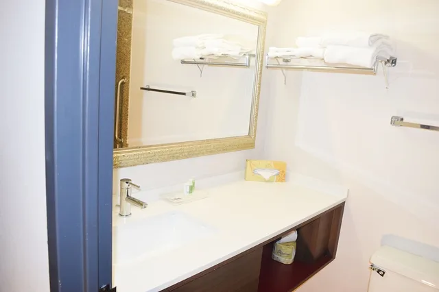 Standard, 2 Queen Beds, Atrium View، Holiday Inn Great Falls 7/8