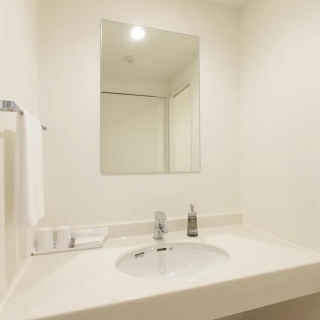 Renovated, Double Bed, Electronic Cigarette Only، Hotel New Gaea Nishikumamoto Ekimae 9/10