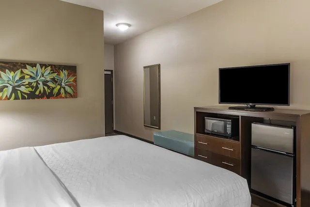 غرفة قياسية بسرير كينج، Holiday Inn Express Hotel & Suites Indio - Coachella Valley 1/6