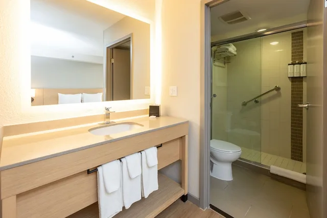 غرفة بسريرين كوين مع أريكة، Hyatt Place Greenville/Haywood 4/4