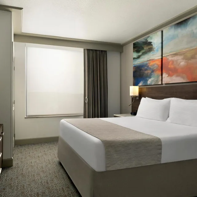 جناح بسرير كينج، Buena Vista Suites 1/5