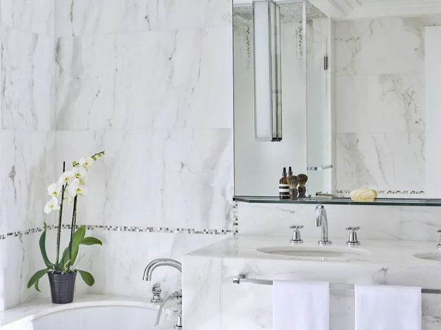 جناح جونيور ديلوكس بسريرين منفصلين، Hotel Plaza Athenee 9/10