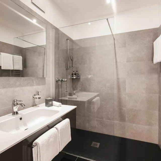 Panorama, Deluxe, Double or Twin Bed, Lake View, Balcony، Hotel Belvedere Locarno 5/8