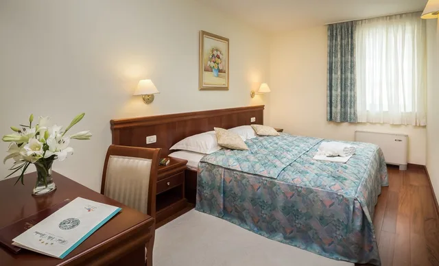 غرفة اقتصادية بسرير مزدوج، Hotel Villa Bacchus 2/3