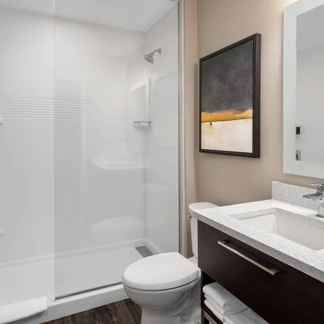 استوديو بسرير كينج بإطلالة على المدينة مع أريكة، TownePlace Suites by Marriott Twin Falls 4/6