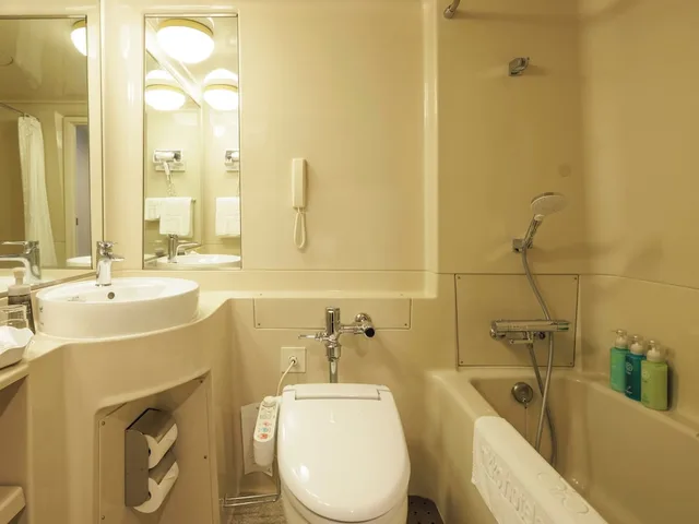 Economy, Queen Bed, Main Building, Hotel Nikko Narita 3/4