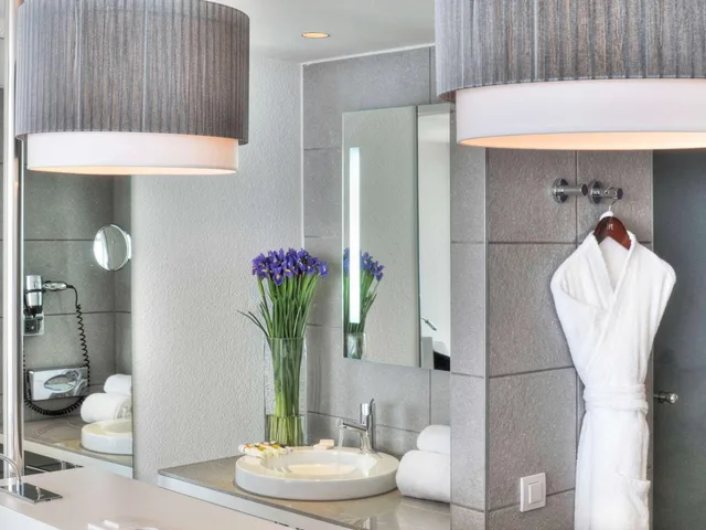 Privilege, Garden and Sea View، Mercure Nice Promenade Des Anglais 8/8