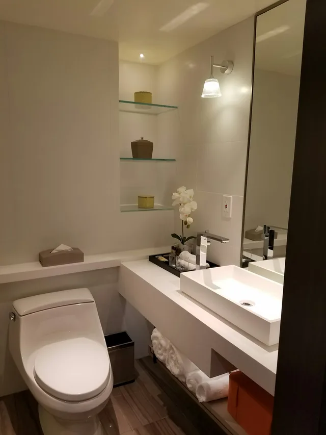 غرفة قياسية بسرير مزدوج، Sheraton Universal Hotel 3/3
