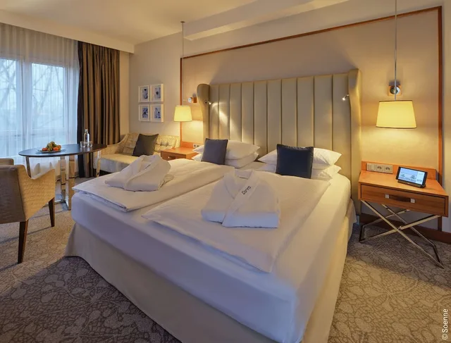 جناح بسرير كينج، Dorint Hotel Bonn 1/6