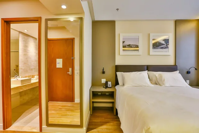 غرفة قياسية بسرير كينج لذوي الإعاقة، HOLIDAY INN GOIANIA 2/6