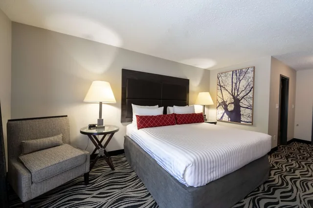 غرفة قياسية بسرير كينج يُسمح فيها بالحيوانات الأليفة، SureStay Hotel by Best Western Castlegar 1/4