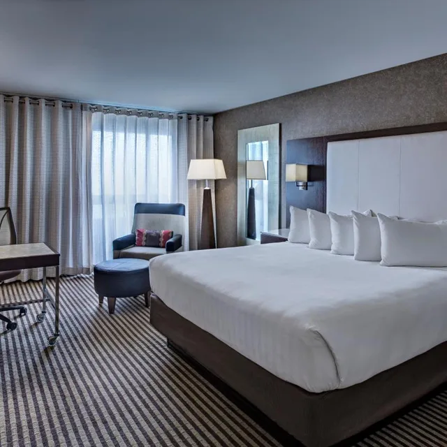 Room, King Bed, Allergy Friendly، Hyatt Regency DFW International Airport 1/7