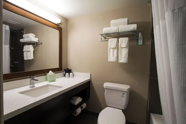 غرفة قياسية بسرير كينج لذوي الإعاقة، HOLIDAY INN VICTORVILLE 3/3
