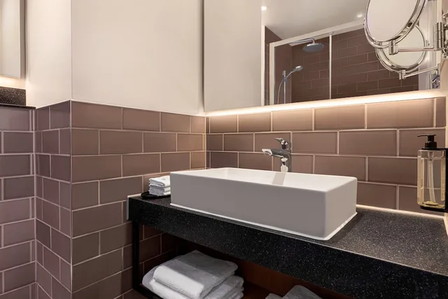 غرفة قياسية بسريرين منفصلين، Holiday Inn Birmingham Airport 3/3