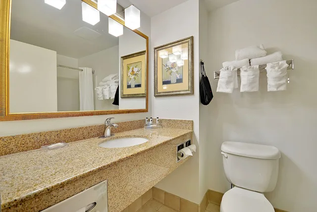 جناح بسرير كينج بغرفة نوم واحدة لذوي الإعاقة، Country Inn Suites By Radisson Charleston North Sc 8/10