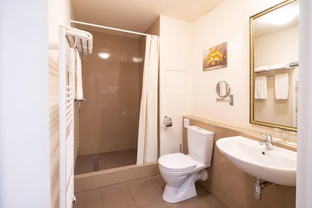 غرفة كلاسيكية مفردة، SPA HOTEL VITA 6/9