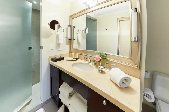 غرفة قياسية بسرير كوين، El Casco Art Hotel 5/6